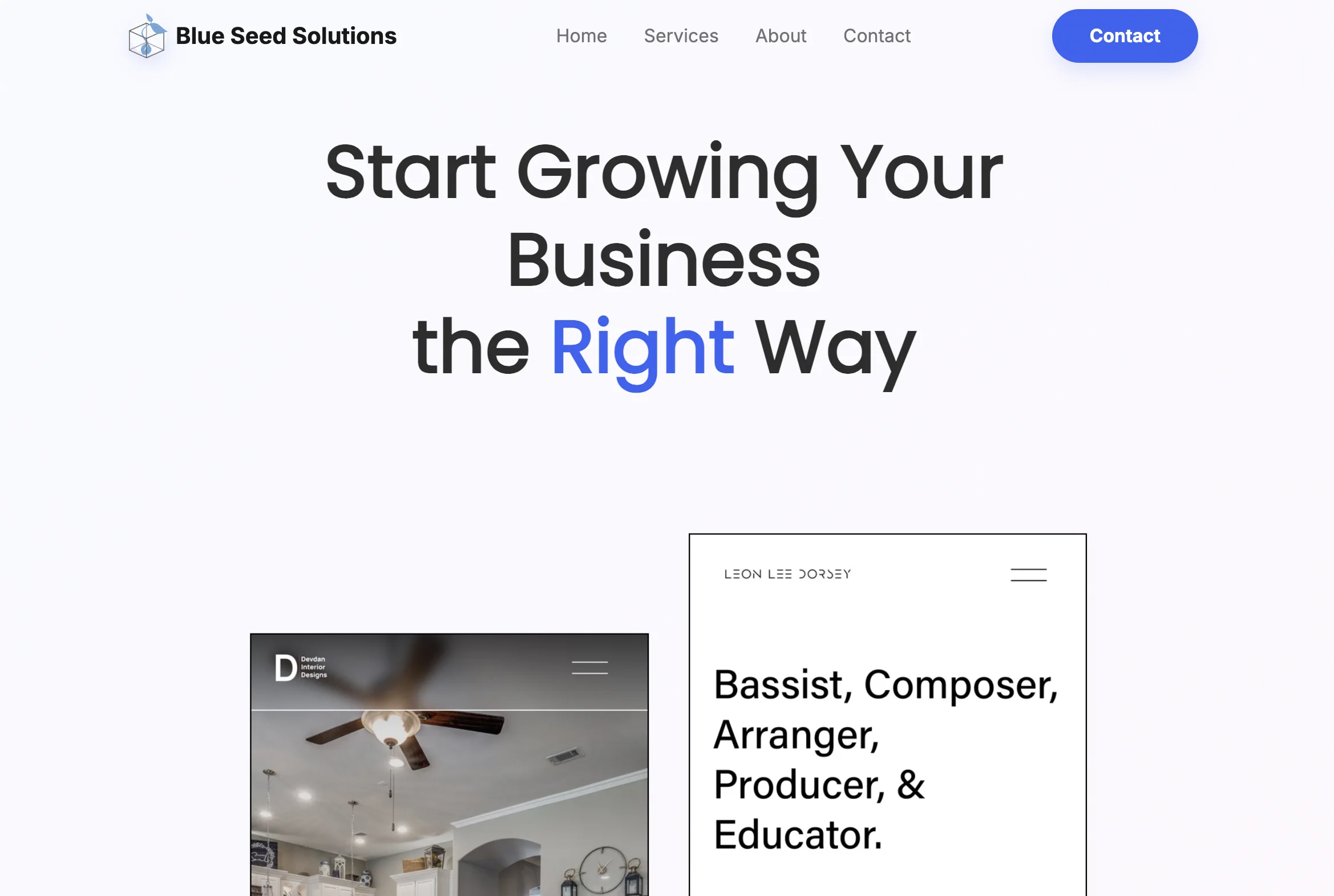 Blue Seed Solutions