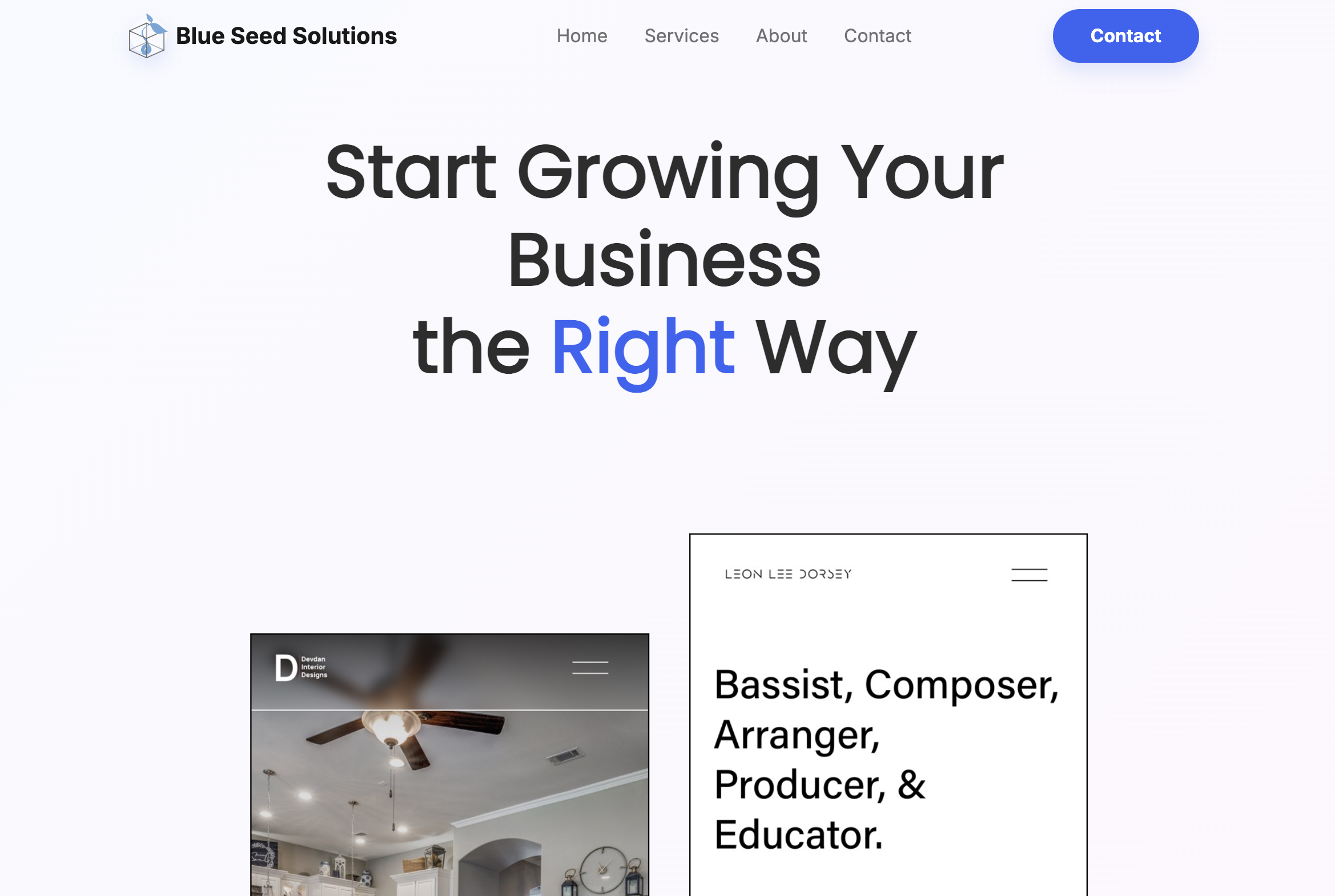 Website of Blue Seed Solutions